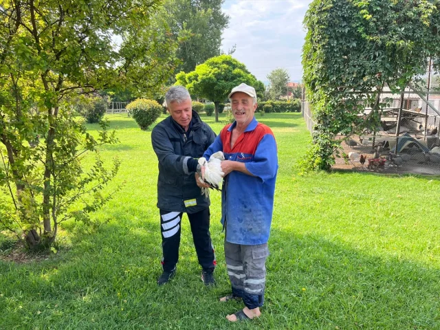 Tokat'ta Yaralı Leylek İtfaiye Tarafından Kahramanca Kurtarıldı