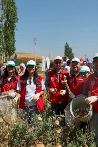 Gençler Tarım Alanlarında Gönüllü Hasatla Buluşuyor