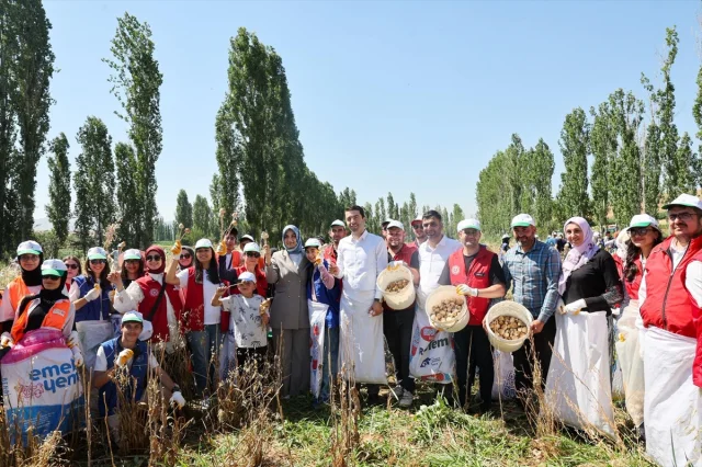 Gençler Tarım Alanlarında Gönüllü Hasatla Buluşuyor