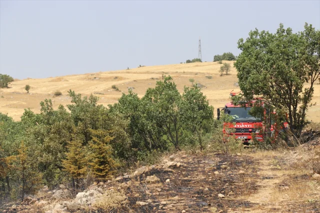 Amasya'da Otluk Arazide Başlayan Yangın Ormanı Tehdit Etti