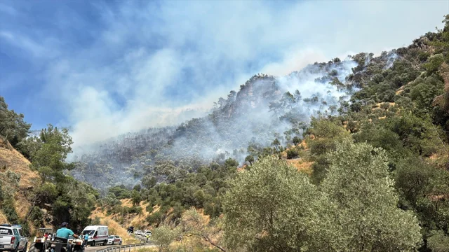Aydın Efeler'de Ziraat Alanından Ormana Sıçrayan Yangın Söndürüldü