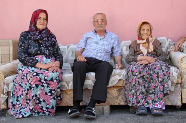 Ispartalı Asırlık Çınarın Uzun Yaşam Sırrı