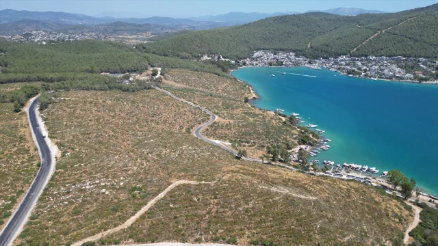 Bodrum Güvercinlik'te Yeşeren Umut: Yanan Alanlar Fidanlarla Canlanıyor