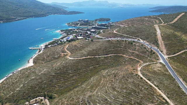 Bodrum Güvercinlik'te Yeşeren Umut: Yanan Alanlar Fidanlarla Canlanıyor