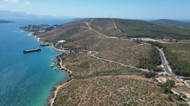Bodrum Güvercinlik'te Yeşeren Umut: Yanan Alanlar Fidanlarla Canlanıyor