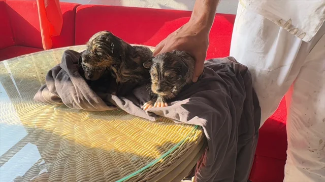 Ankara Mamak'ta Otluk Alandaki Yangın 8 Gecekonduyu Küle Çevirdi