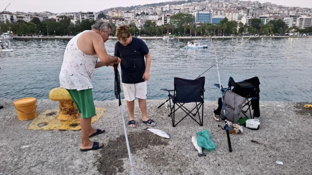 Sinop Kıyılarında Ani Deniz Soğuması Balıkları Şaşırttı