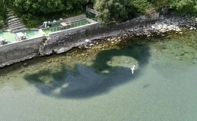 Sinop Kıyılarında Ani Deniz Soğuması Balıkları Şaşırttı