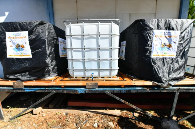 Fethiye'de Arılar İçin Yeni İçme Suyu Noktaları Geliyor
