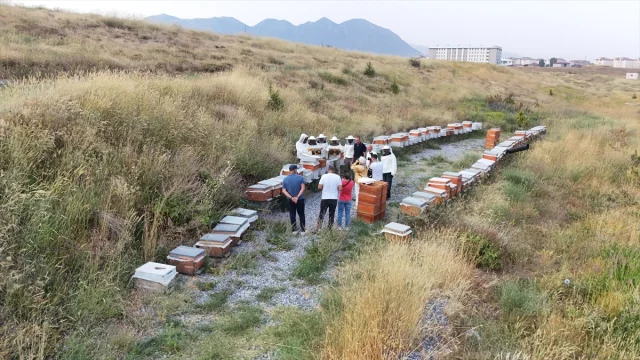 Bitlis Eren Üniversitesi Arıcılık Faaliyetlerinde Çığır Açıy...