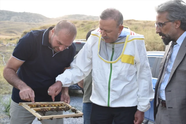 Bitlis Eren Üniversitesi Arıcılık Faaliyetlerinde Çığır Açıyor