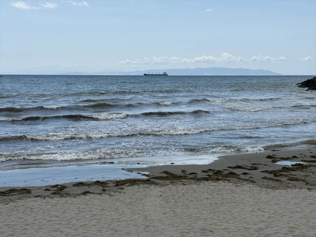 Tekirdağ Kıyılarında Hava Koşulları Nedeniyle Yüzme Yasağı