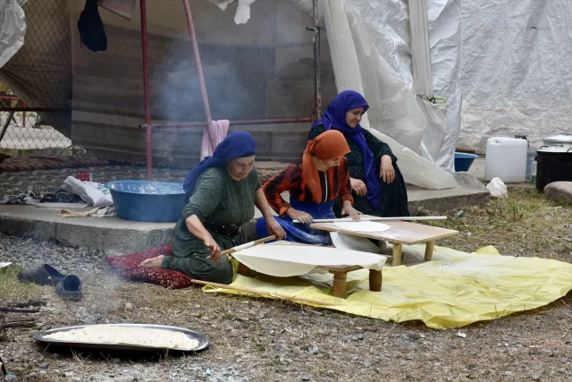 Mevsimlik Tarım İşçileri Ordu'da Fındık Hasadına Hazır