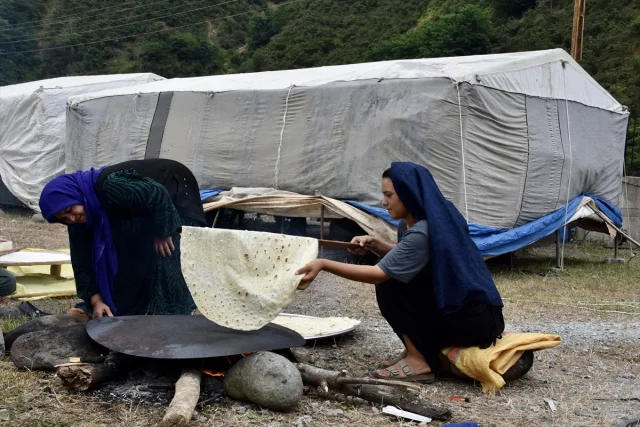 Mevsimlik Tarım İşçileri Ordu'da Fındık Hasadına Hazır