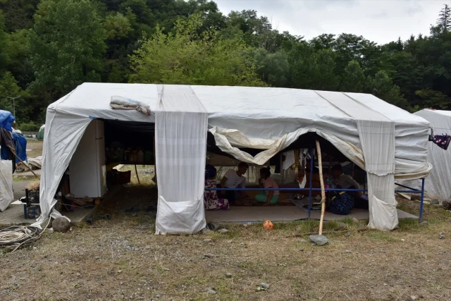 Mevsimlik Tarım İşçileri Ordu'da Fındık Hasadına Hazır