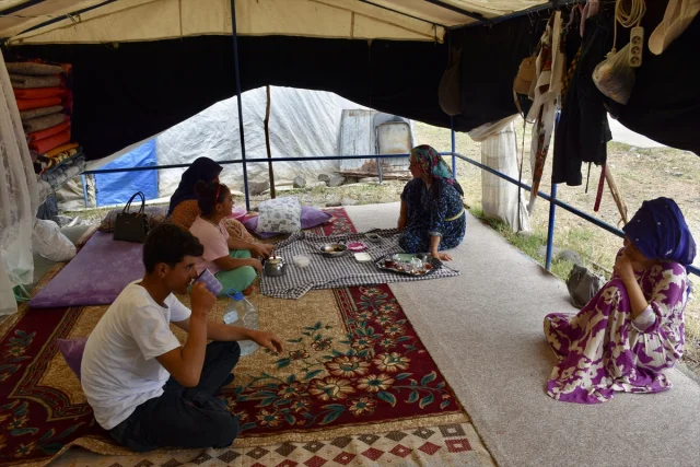 Mevsimlik Tarım İşçileri Ordu'da Fındık Hasadına Hazır