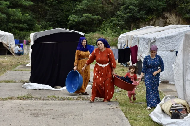 Mevsimlik Tarım İşçileri Ordu'da Fındık Hasadına Hazır