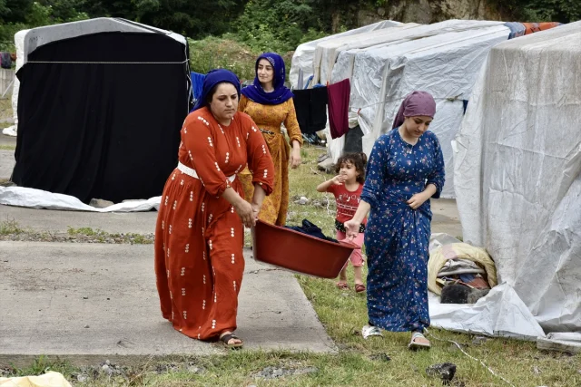 Mevsimlik Tarım İşçileri Ordu'da Fındık Hasadına Hazır