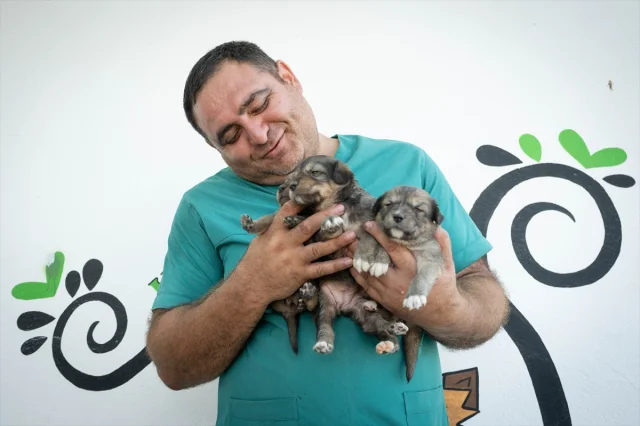 Ankara'da Kurtarılan Köpek Yavrularına Yeni Hayat