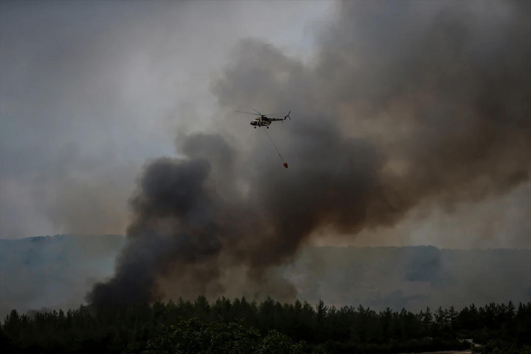 Bursa'nın Yenişehir İlçesinde Orman Yangını Kontrol Altına Alındı