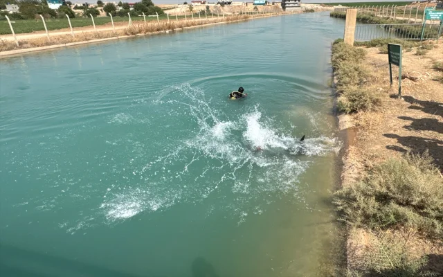 Şanlıurfa'da Sulama Kanalında Kaybolan Gencin Arama Çalışmaları Devam Ediyor