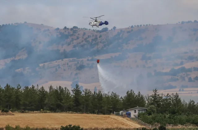 Bursa'nın Yenişehir İlçesinde Orman Yangını Kontrol Altına Alındı