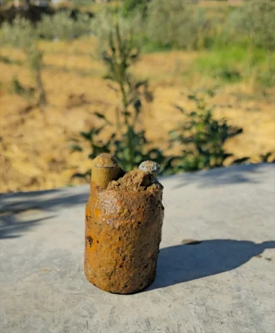Manisa'da Zeytin Bahçesinde Bulunan Tarihi Top Mermisi İmha...