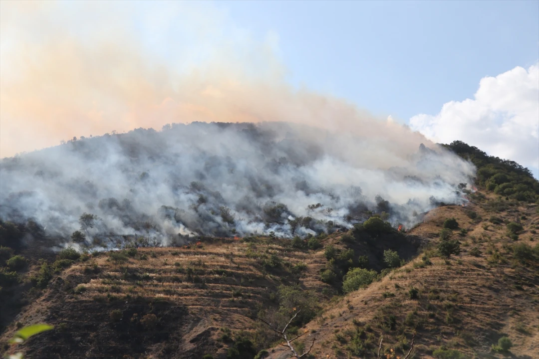 Şarköy'de Orman Yangınıyla Mücadele Sürüyor: Büyük Gayret ve Hassasiyetle İlçeye Müdahale