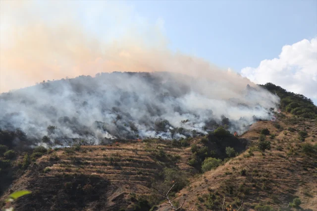 Şarköy'de Orman Yangınıyla Mücadele Sürüyor: Büyük Gayret ve...