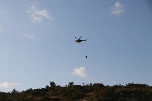 Tekirdağ'da Orman Yangını Etkili Müdahale ile Kontrol Altında