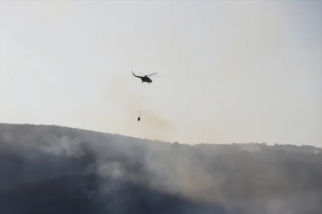 Tekirdağ'da Orman Yangını Etkili Müdahale ile Kontrol Altında