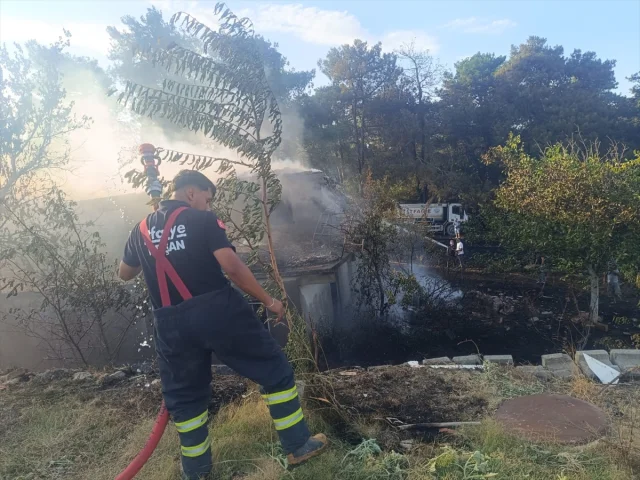 Edirne'de Orman Yangını Tehlikesi Büyük Mücadeleyle Önleniyo...