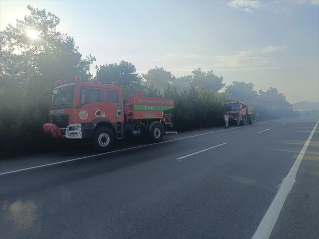 Edirne'de Orman Yangını Tehlikesi Büyük Mücadeleyle Önleniyor