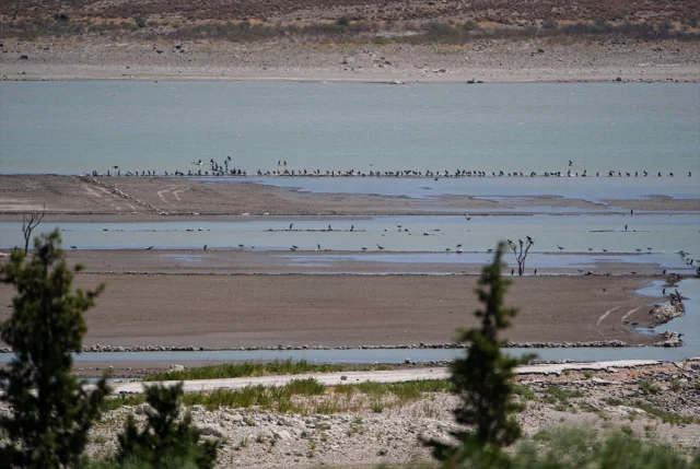 İzmir'de Barajdaki Su Seviyesi Düştü: Eski Kara Yolu Ortaya Çıktı