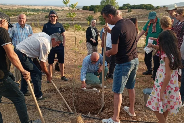 Konya'da Prof. Dr. Metin Sözen Anısına Fidan Dikildi