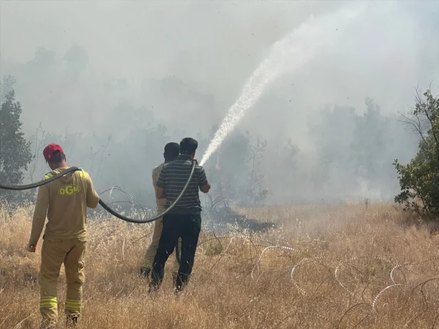 Şırnak'ta Ormanda Yangın Alarmı Ekipler Zorlu Mücadele Verdi