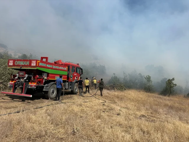 Şırnak'ta Ormanda Yangın Alarmı Ekipler Zorlu Mücadele Verdi