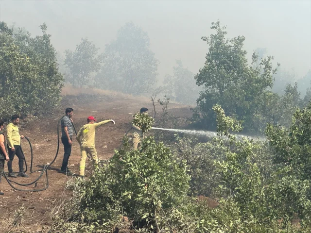 Şırnak'ta Ormanda Yangın Alarmı Ekipler Zorlu Mücadele Verdi