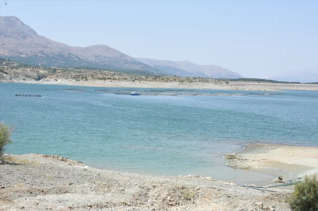 Malatya Alabalık Üretiminde Hedeflerini Büyütüyor