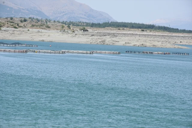 Malatya Alabalık Üretiminde Hedeflerini Büyütüyor