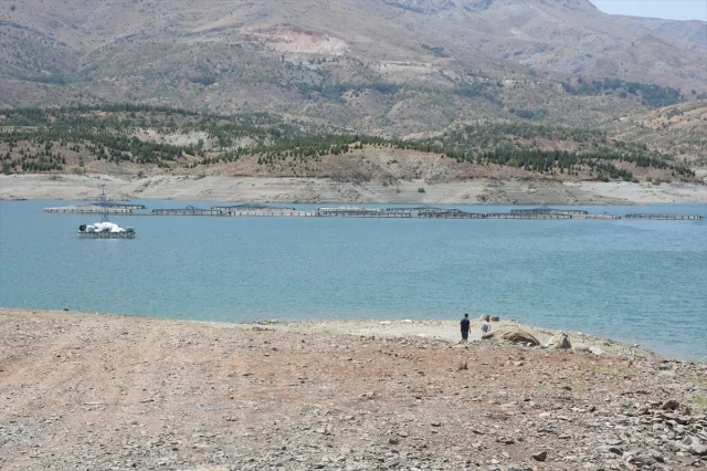 Malatya Alabalık Üretiminde Hedeflerini Büyütüyor