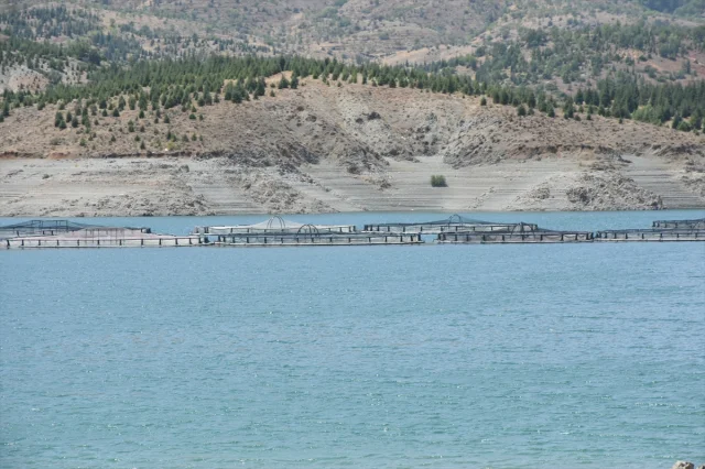 Malatya Alabalık Üretiminde Hedeflerini Büyütüyor