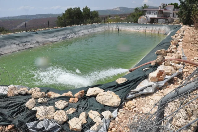 Mersin'de Orman Yangınına Müdahale Stratejisi: Bahçe Havuzla...