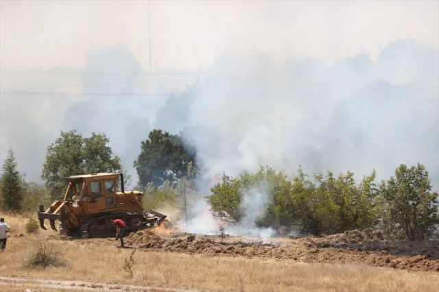 Kırklareli'nde Orman Yangını Avrupa Otoyolunu Kapattı