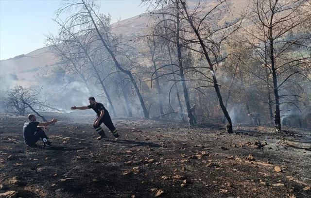 Şanlıurfa'da Rüzgar Etkisiyle Büyüyen Orman Yangını Kontrol...