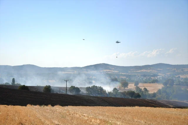 Çanakkale'deki Yangın Yoğun Çabalarla Kontrol Altında