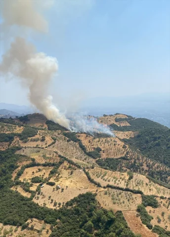 Aydın'da Tarım Arazisinde Çıkan Yangın Hızla Söndürüldü