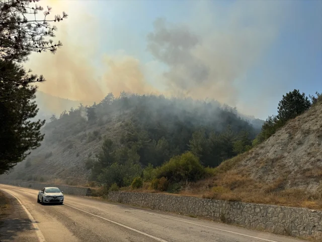Karabük Orman Yangını Faciayı Önlemek İçin Acil Müdahale Baş...