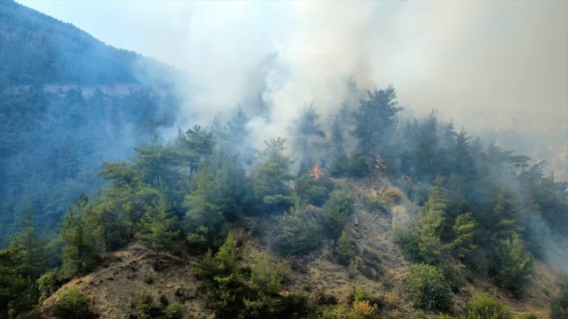 Karabük'te Orman Yangınına Hızlı Müdahale