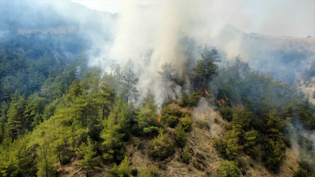 Karabük'te Orman Yangınına Hızlı Müdahale
